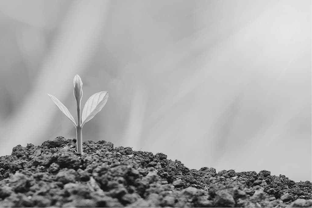 estime de soi et confiance en soi